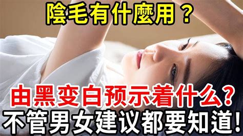 女人的陰毛|陰毛該剃嗎？ 必知11大「黑森林」秘密...刮除易罹性病 